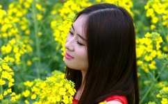 秦纲最新消息是间谍吗